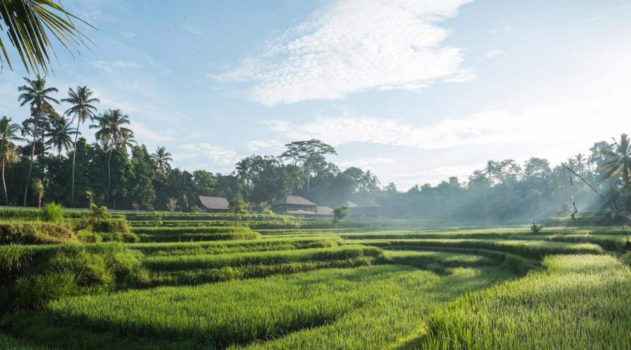 Benisari Batik Garden Cottage Ubud Exterior foto