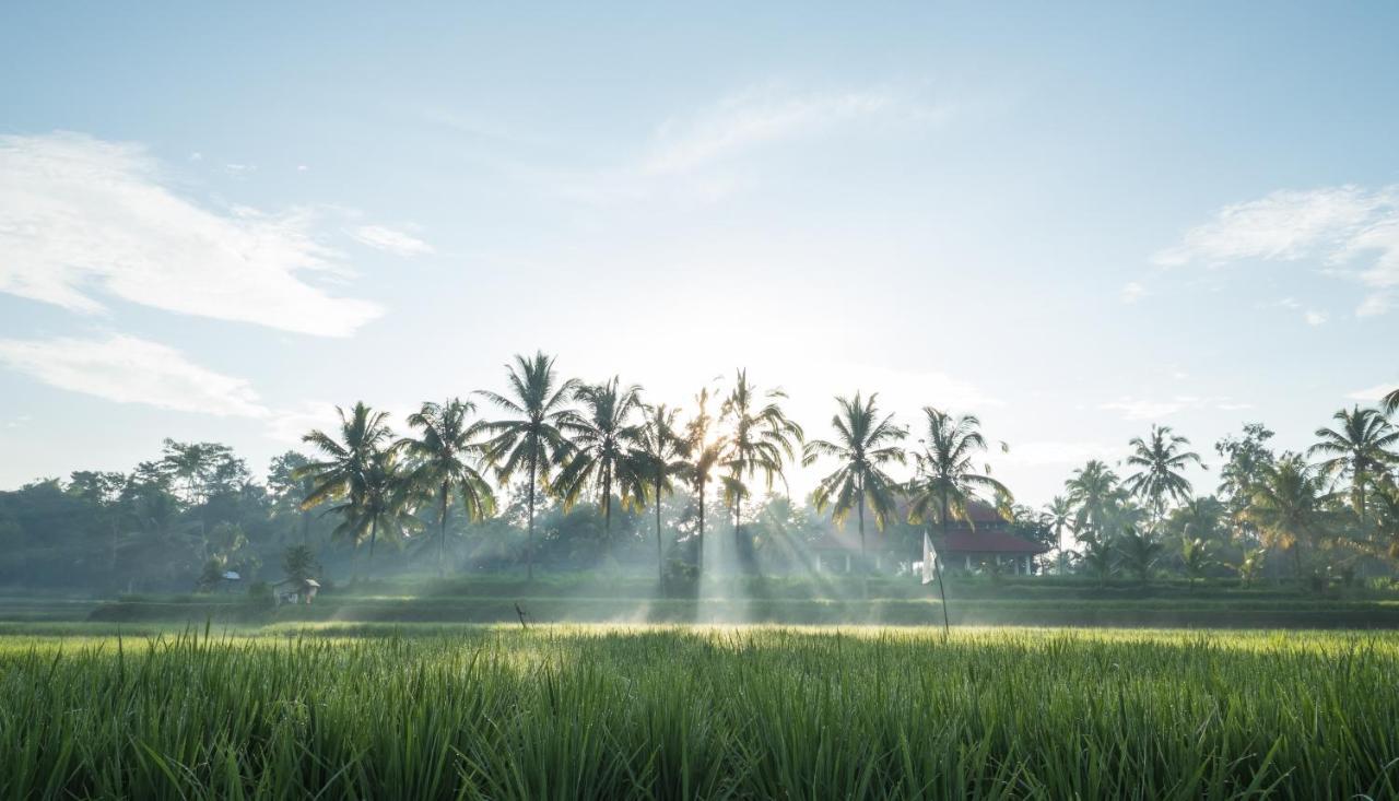 Benisari Batik Garden Cottage Ubud Exterior foto